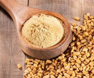 Galangal root powder