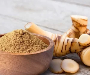 Galangal root powder67