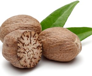 Nutmeg-Exporters-in-India