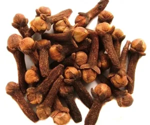 clove-seeds-500x500