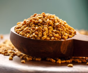 fenugreek