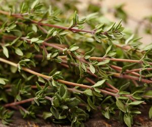 thyme-1